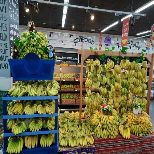 product-500-500 product-500-500